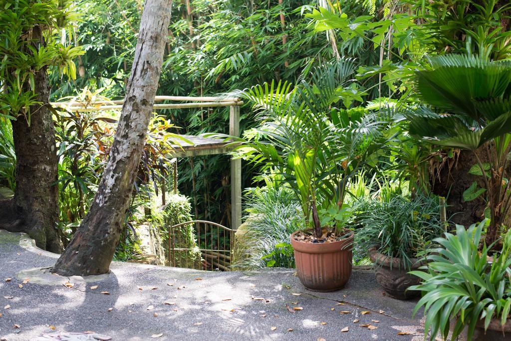 Serenity House Ubud (Bali) Bagian luar foto